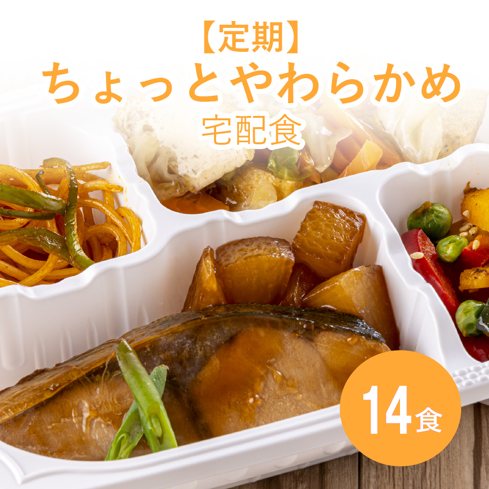 【定期】ちょっとやわらかめ宅配食 14食≪送料無料≫